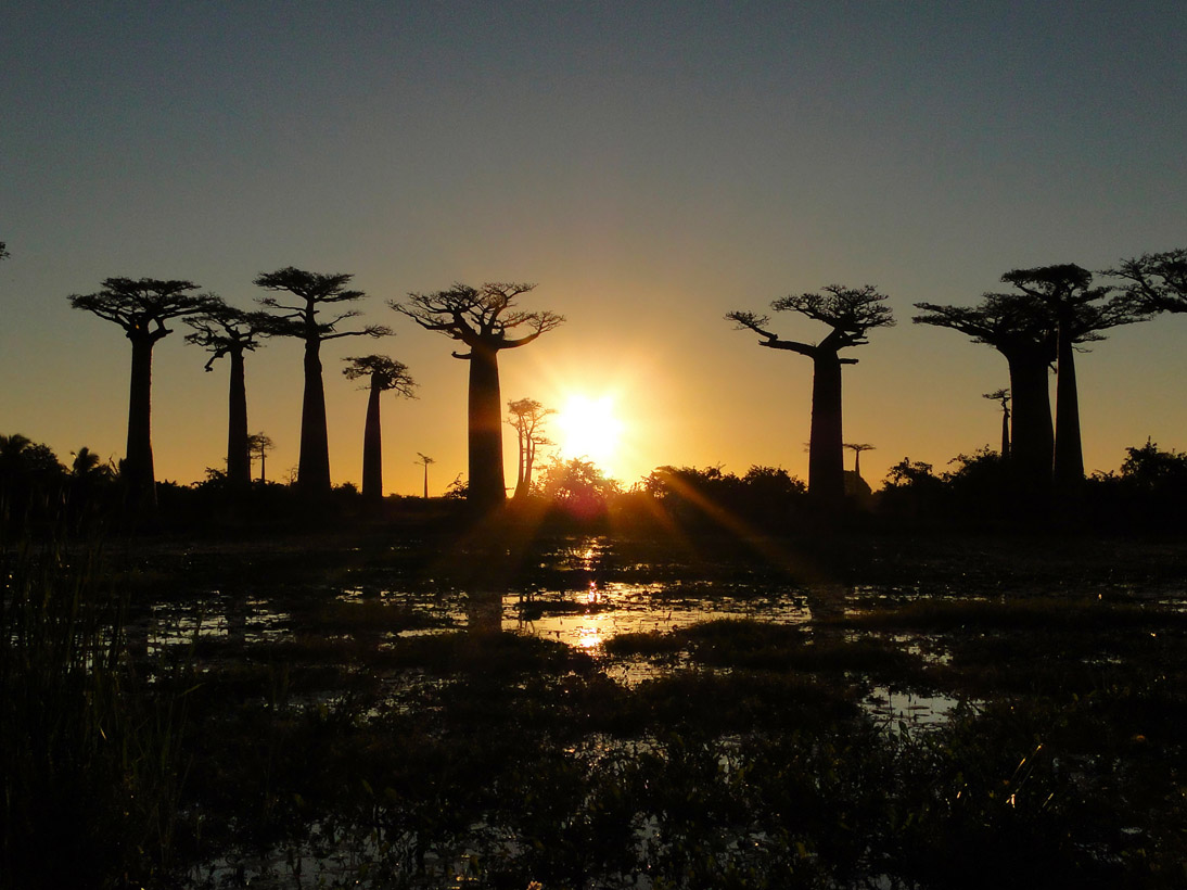 1458_20120515_171536_Madagaskar_DSC07500