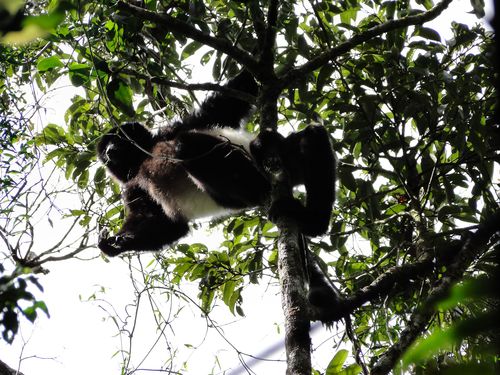 1267_20120506_101306_Madagaskar_DSC07008.jpg