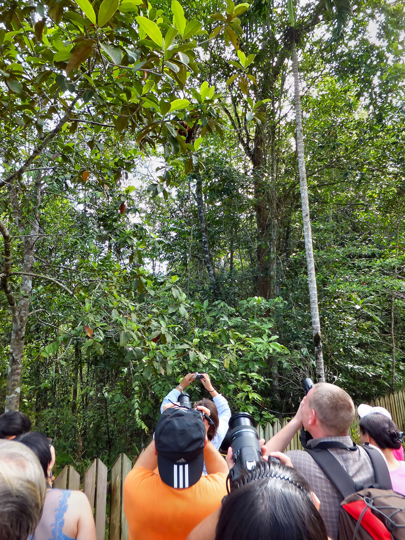 1061_20121114_095000_Malaysia_DSCF1969