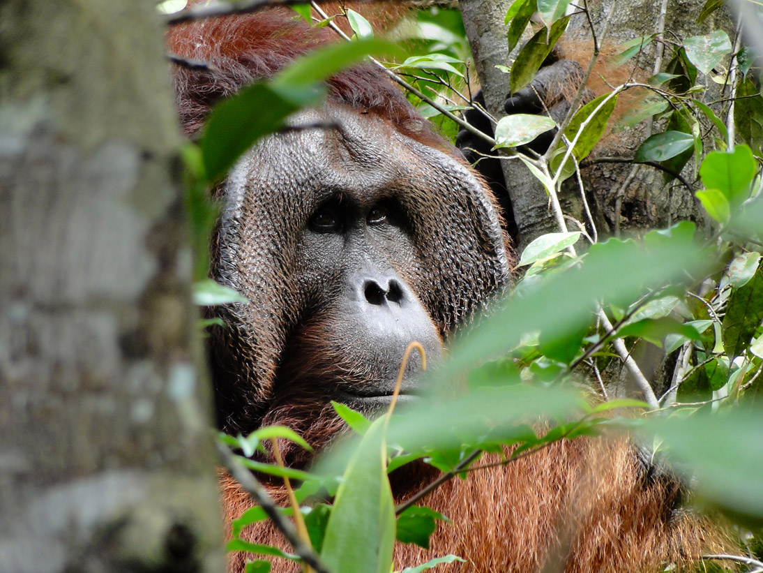 1063_20121114_094128_Malaysia_DSC08186