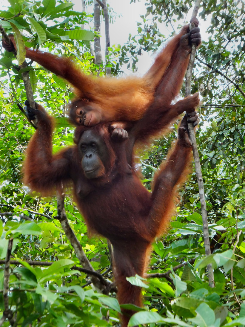 1067_20121114_095408_Malaysia_DSCF1971