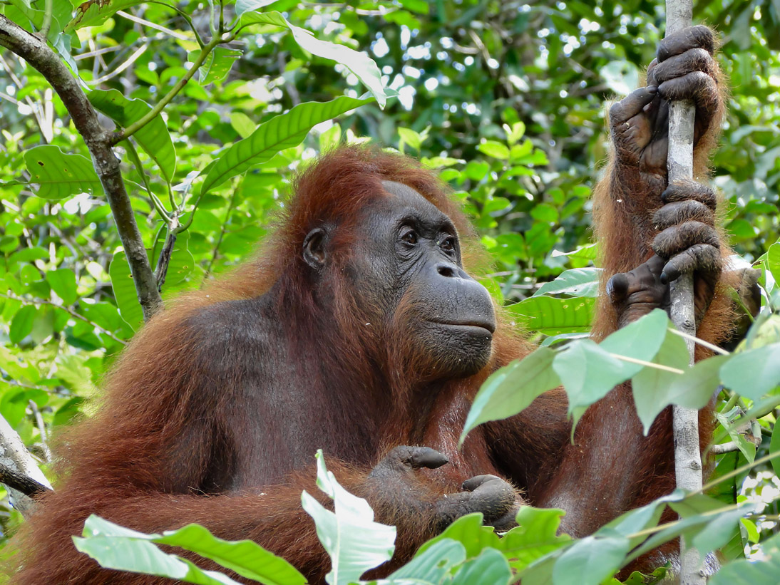 1069_20121114_095924_Malaysia_DSC08248
