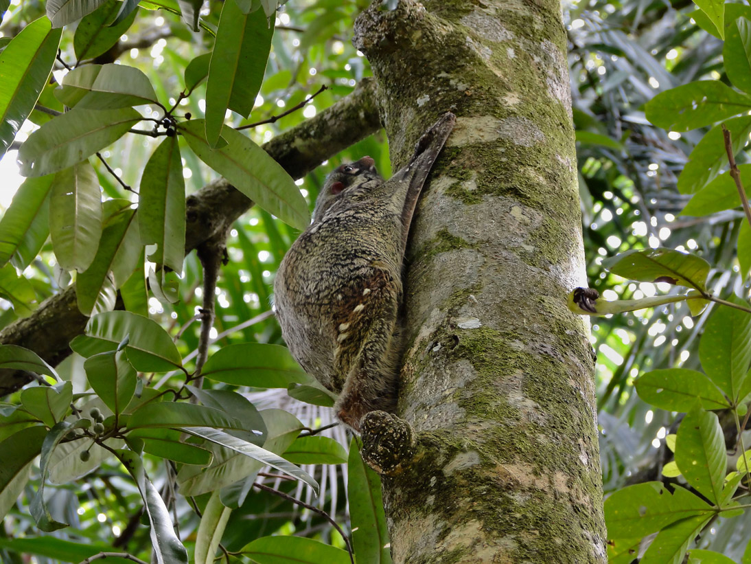 1083_20121115_095916_Malaysia_DSC08293