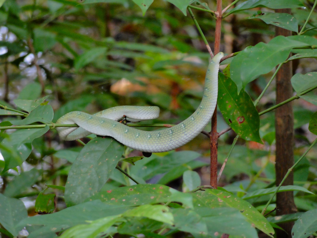 1084_20121115_100216_Malaysia_DSC08296
