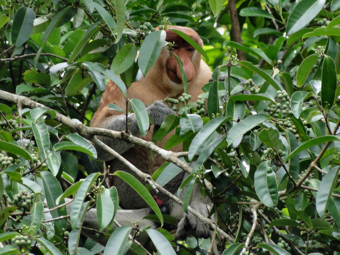 1086_20121115_101348_Malaysia_DSC08298