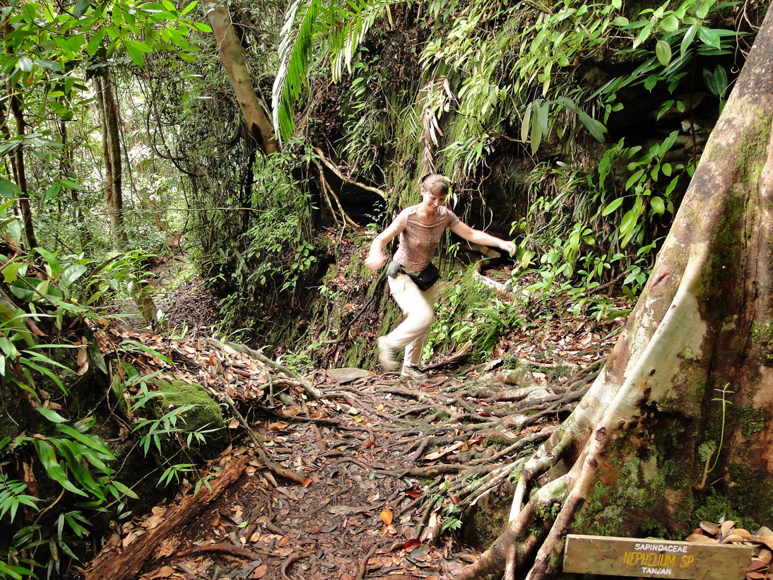 1093_20121115_115704_Malaysia_DSC08313