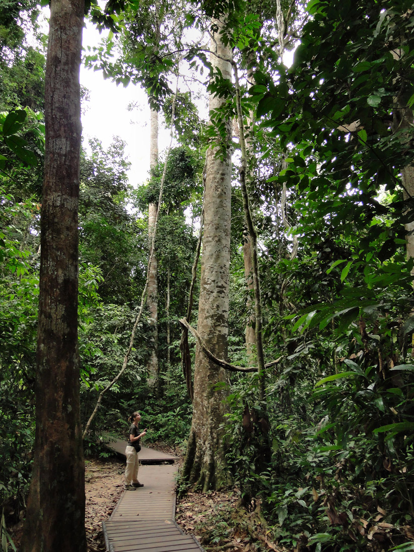 1123_20121118_101400_Malaysia_DSC08366