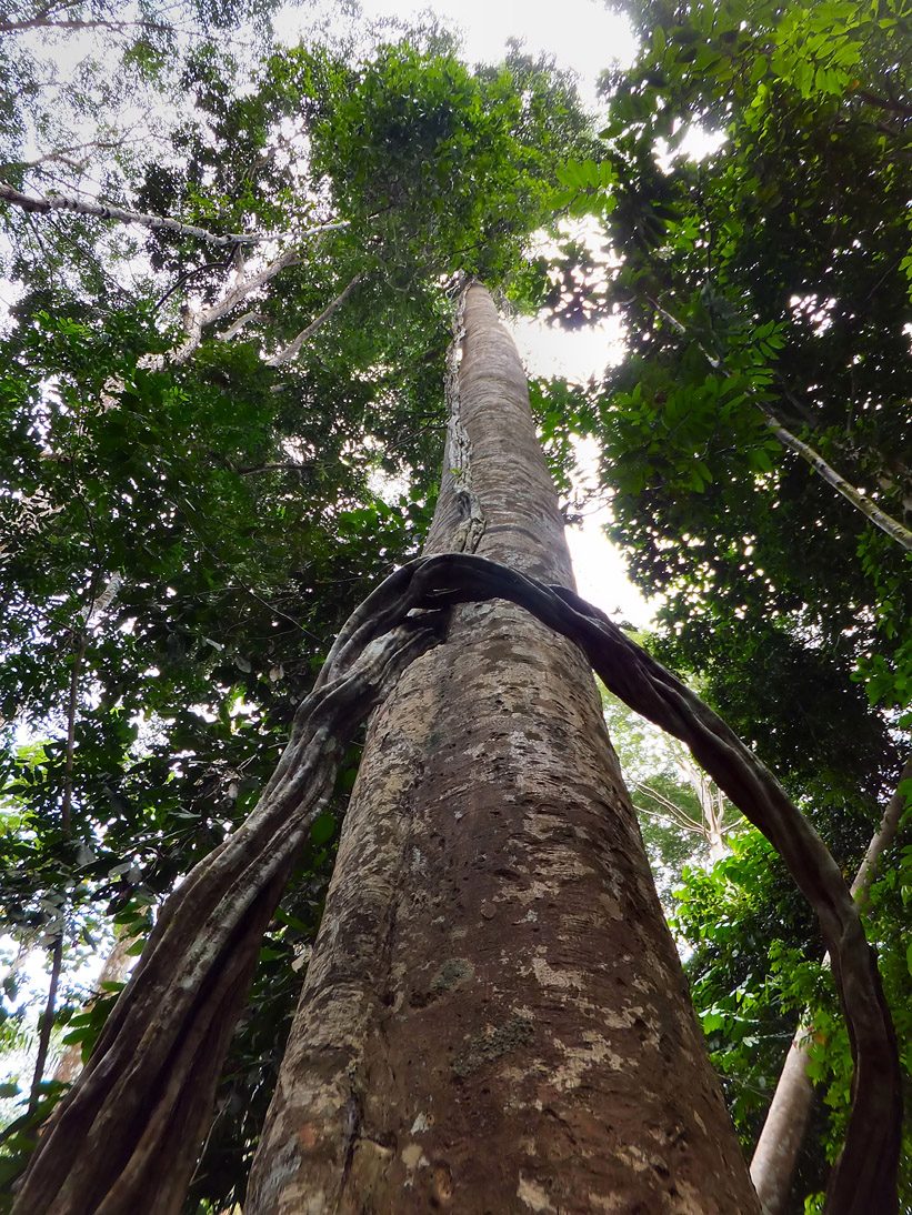1124_20121118_101246_Malaysia_DSCF2073