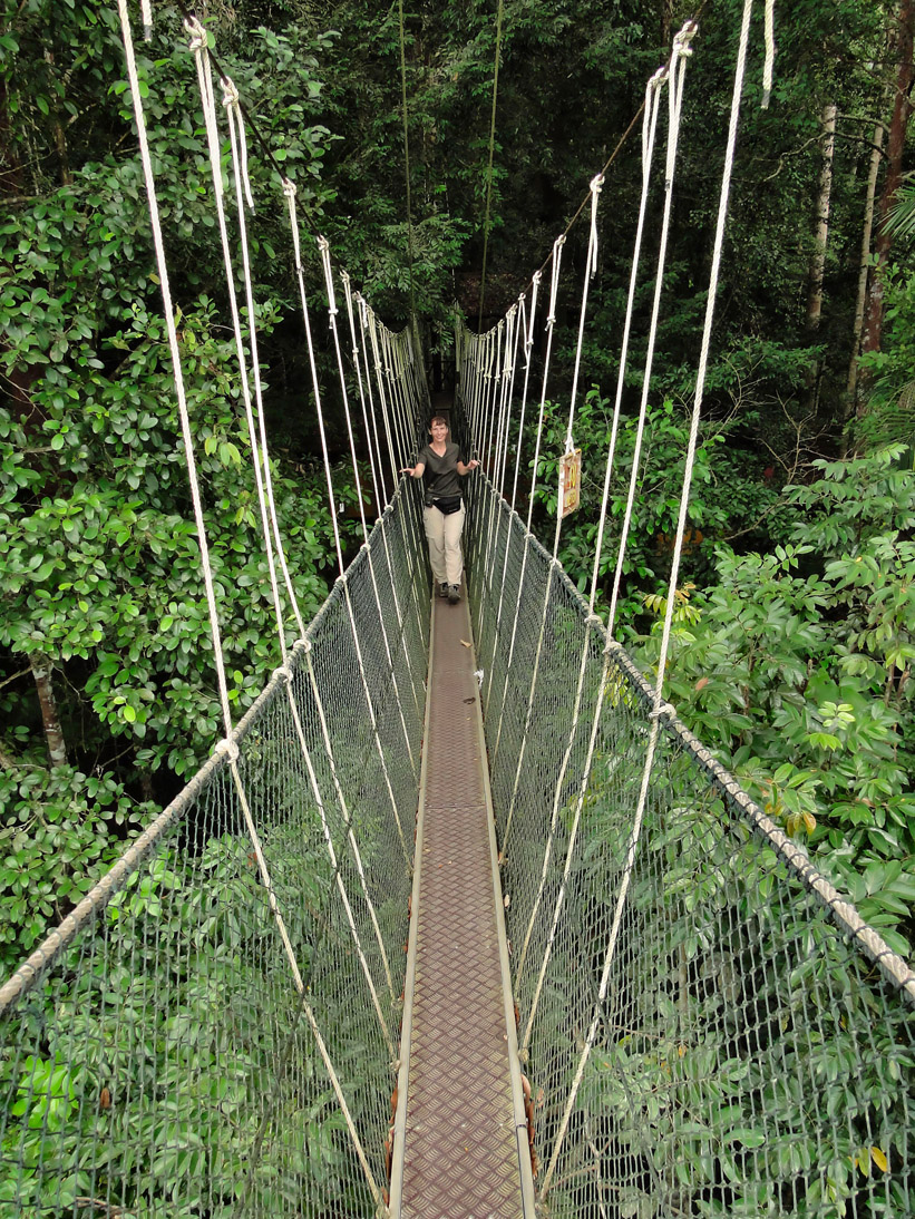 1125_20121118_103756_Malaysia_DSC08368