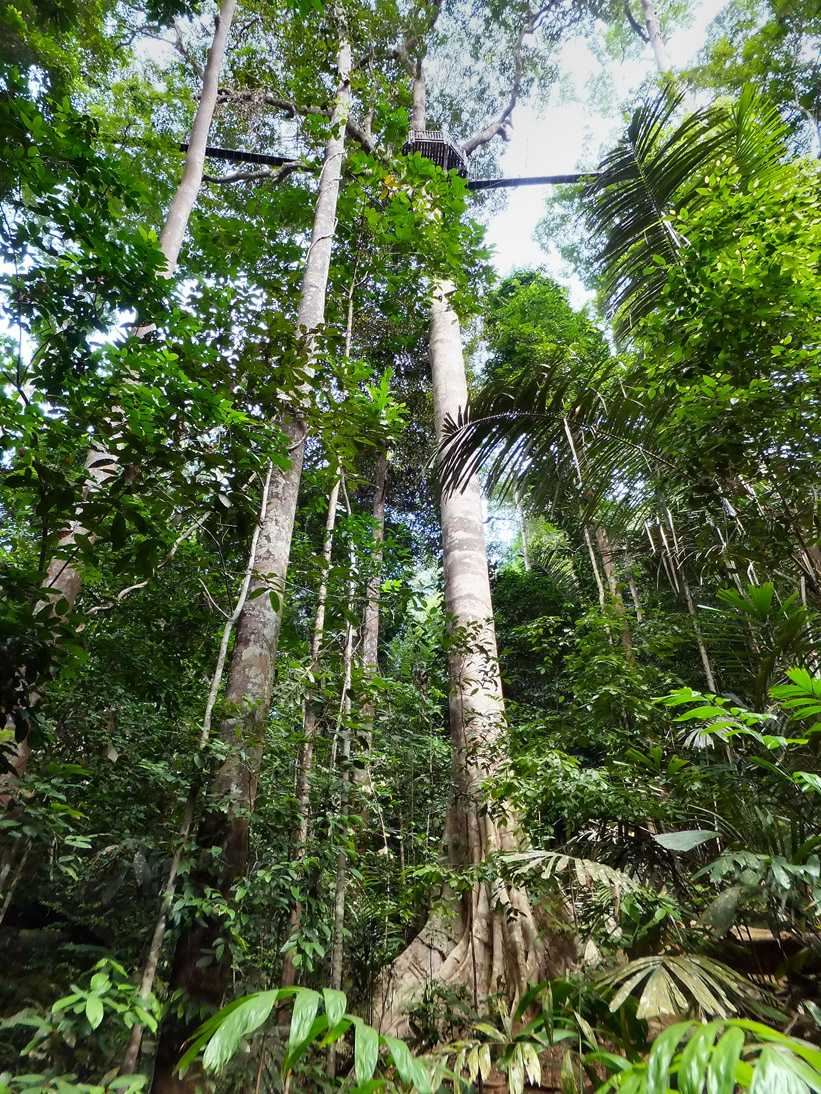 1128_20121118_111112_Malaysia_DSCF2083