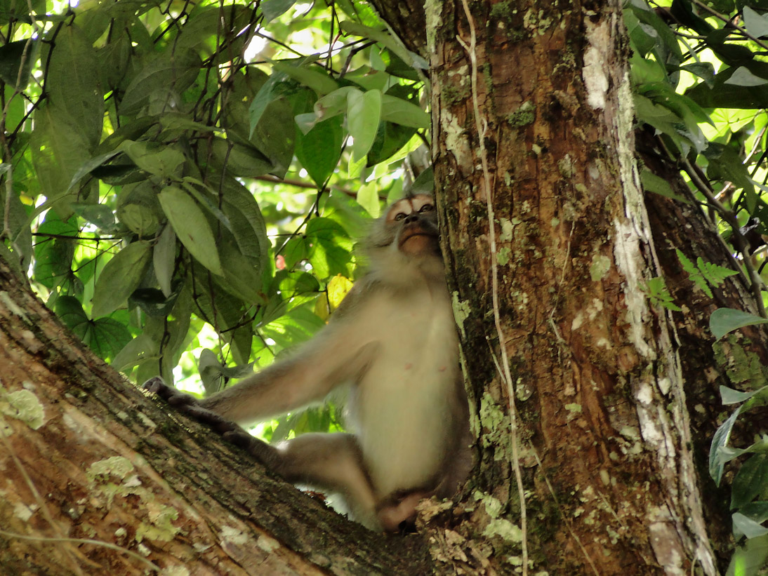 1132_20121118_132242_Malaysia_DSC08388
