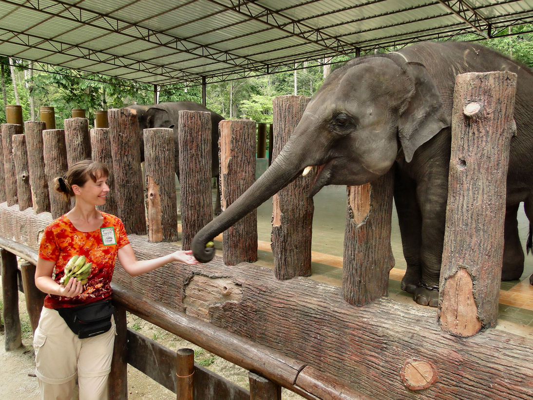 1141_20121119_124308_Malaysia_DSC08417