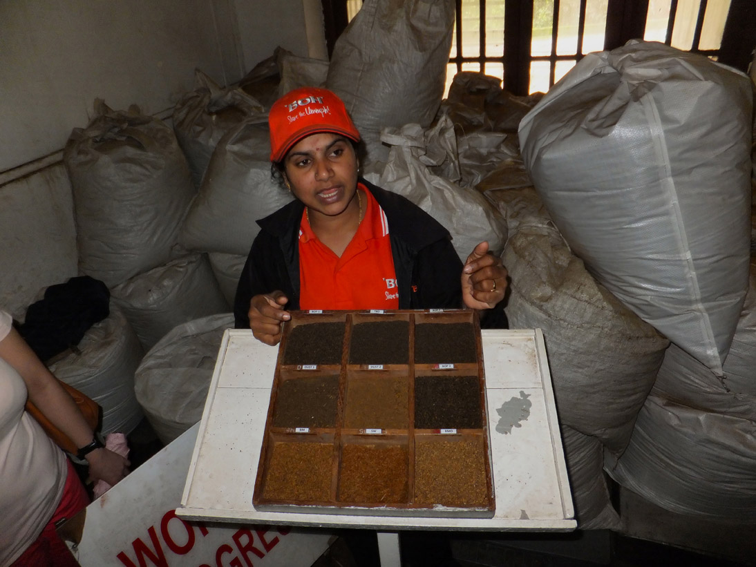 1153_20121120_153220_Malaysia_DSCF2103