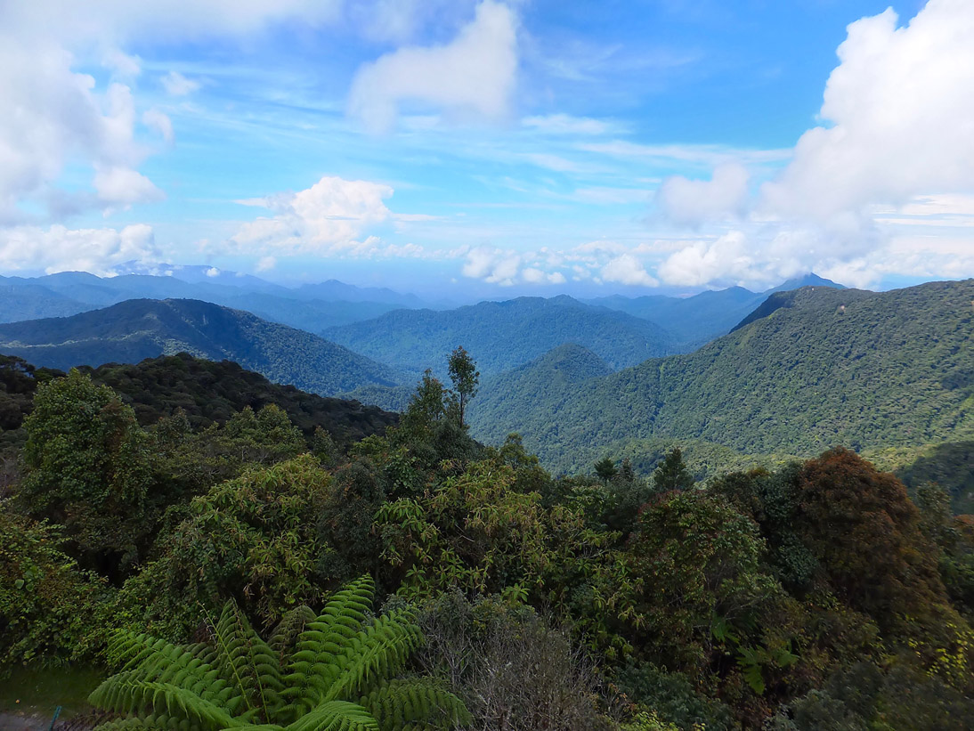 1162_20121121_114720_Malaysia_DSCF2114