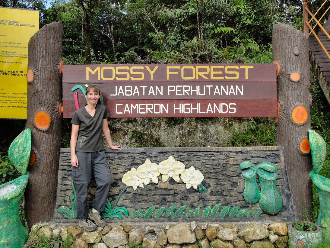 1163_20121121_120052_Malaysia_DSC08466