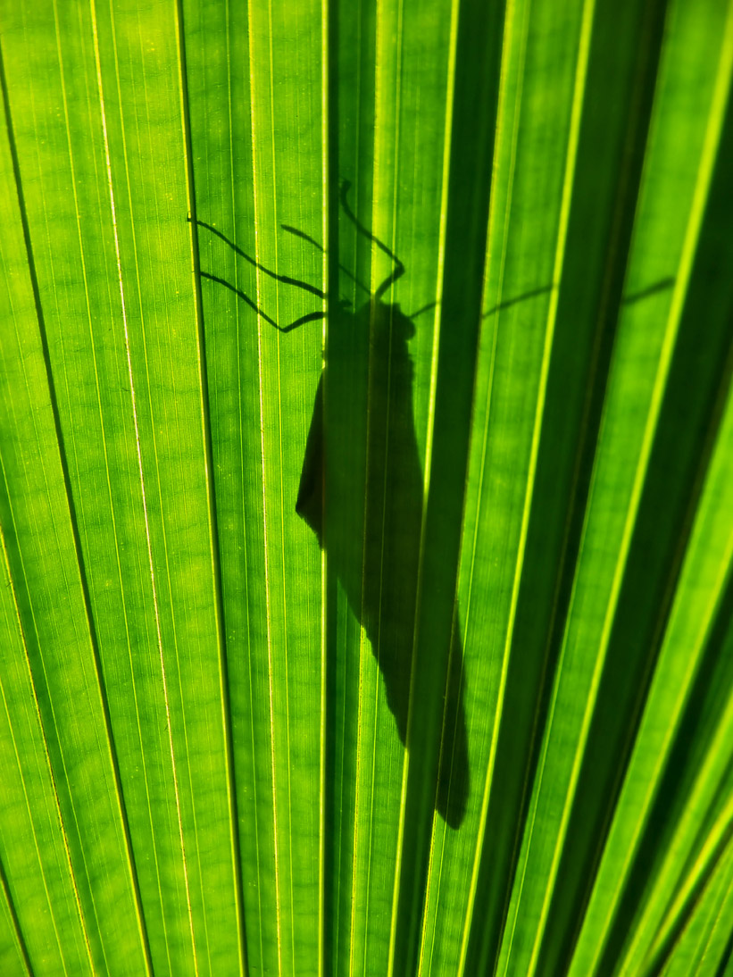 1210_20121124_142120_Malaysia_DSCF2211