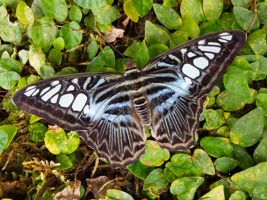 1218_20121124_145250_Malaysia_DSCF2219