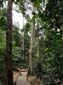 1123_20121118_101400_Malaysia_DSC08366