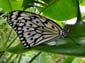 1220_20121124_145852_Malaysia_DSC08650