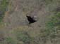 1129_Mexiko_2013_05_06_131827_DSC09091