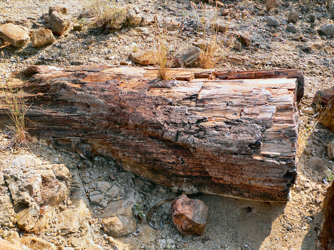 0237_0236_Namibia-050511-091848_P1010362