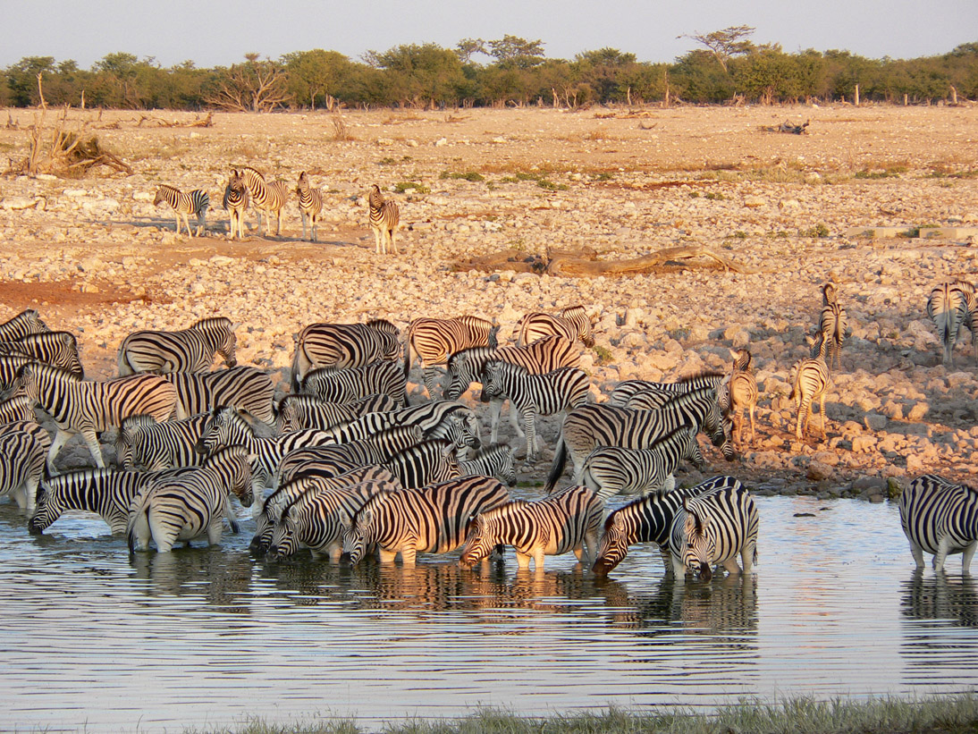 0272_0270_Namibia-050513-064032_P1010599