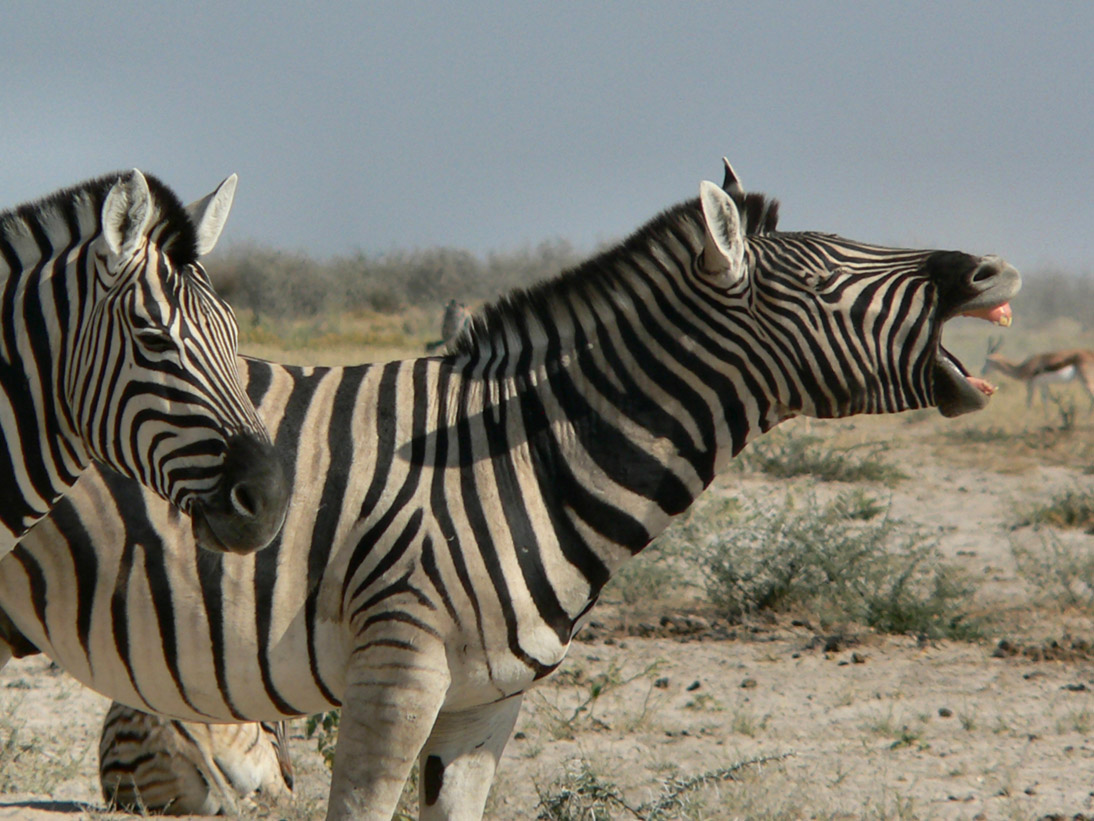 0275_0271_Namibia-050513-094516_P1010651