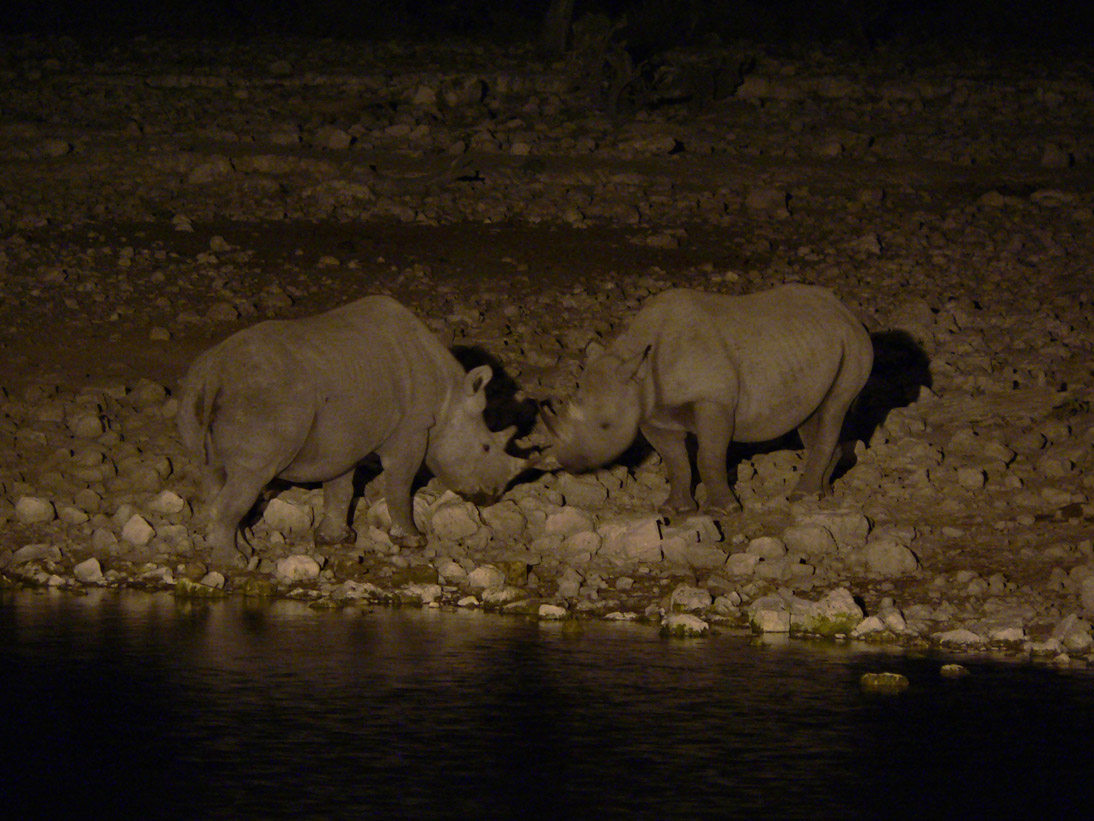 0308_0305_Namibia-050513-211740_P1010799