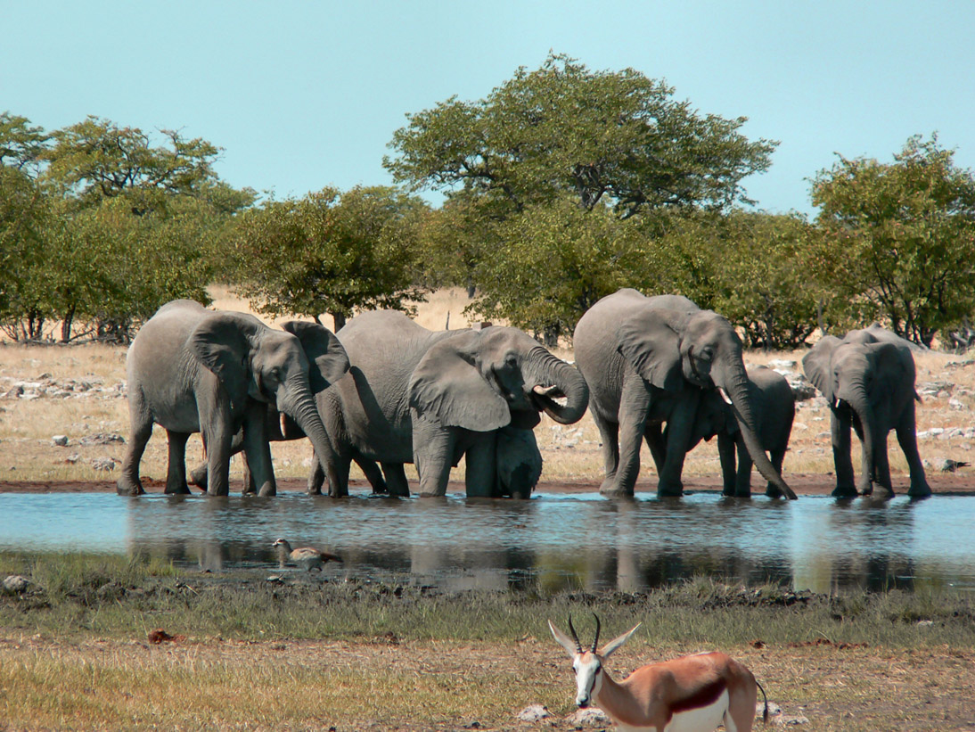 0318_0316_Namibia-050514-121420_P1010918
