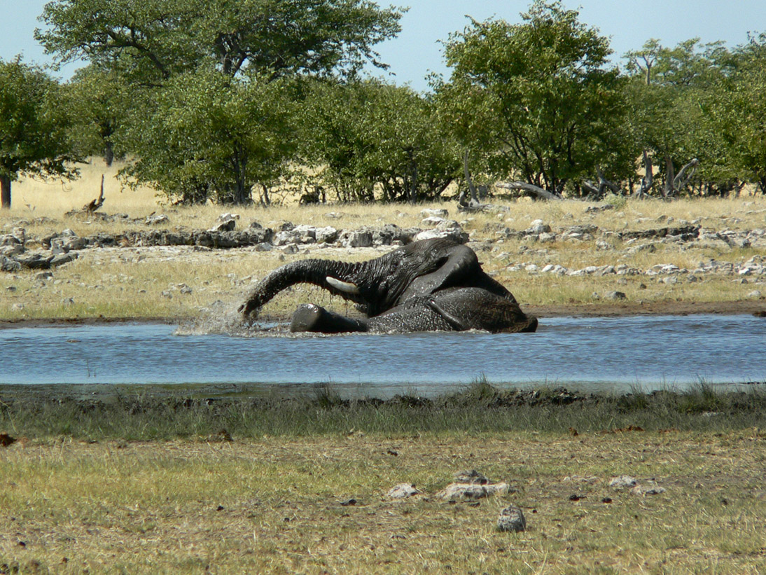 0319_0312_Namibia-050514-112606_P1010864