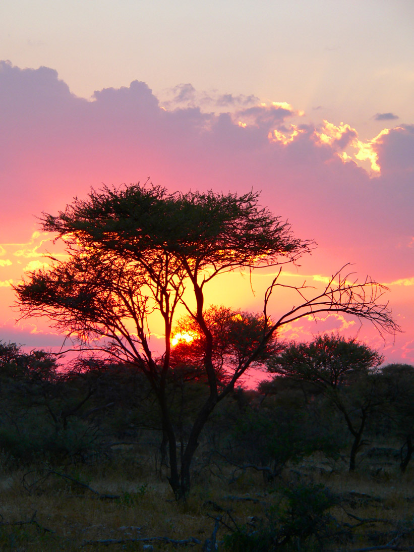 0373_0369_Namibia-050515-171842_P1020311