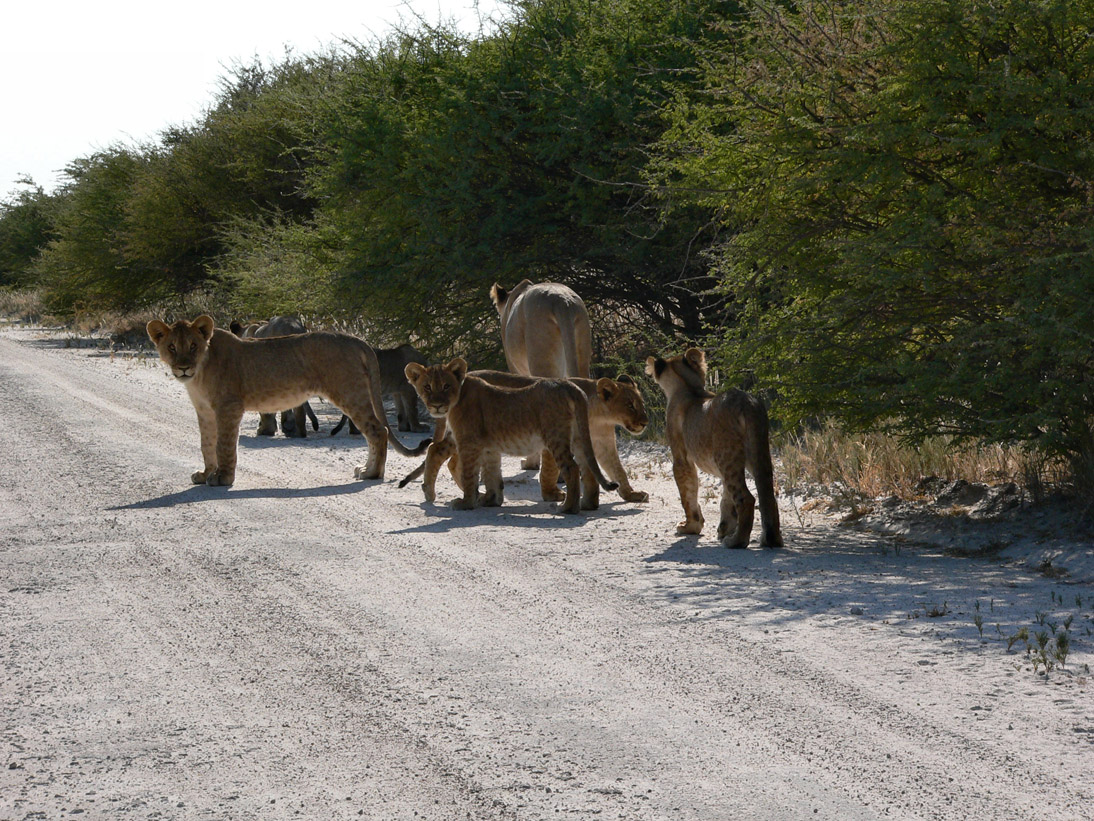 0381_0381_Namibia-050516-084016_P1020338