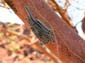 0221_0220_Namibia-050510-102830_P1010319