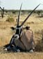 0250_0248_Namibia-050512-142320_P1010435