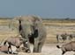 0251_0249_Namibia-050512-143944_P1010447