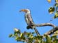 0254_0252_Namibia-050512-160406_P1010467