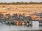 0272_0270_Namibia-050513-064032_P1010599