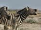0275_0271_Namibia-050513-094516_P1010651