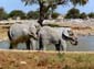 0287_0284_Namibia-050513-131338_P1010691