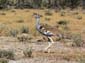 0288_0287_Namibia-050512-140158_P1010421