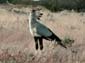 0290_0288_Namibia-050513-153022_P1010728