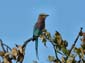 0293_0290_Namibia-050513-154914_P1010735