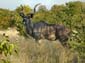 0300_0296_Namibia-050513-160402_P1010754