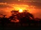 0304_0301_Namibia-050513-171838_P1010784