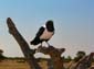 0311_0309_Namibia-050514-110058_P1010826