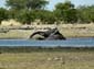 0319_0312_Namibia-050514-112606_P1010864
