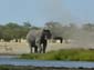 0322_0320_Namibia-050514-122730_P1010963