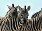 0343_0340_Namibia-050515-105058_P1020065