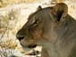0359_0356_Namibia-050515-135324_P1020255