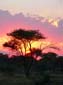 0373_0369_Namibia-050515-171842_P1020311